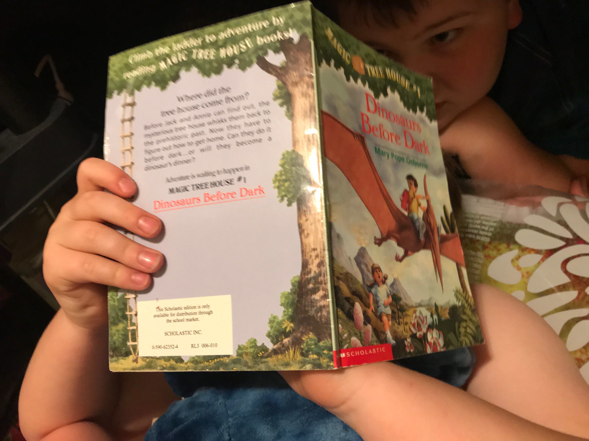 Magic Tree House book