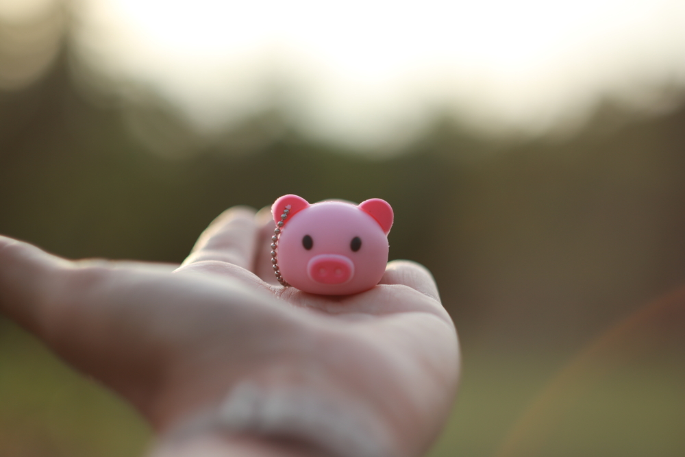 pork keychain on person's  hand
