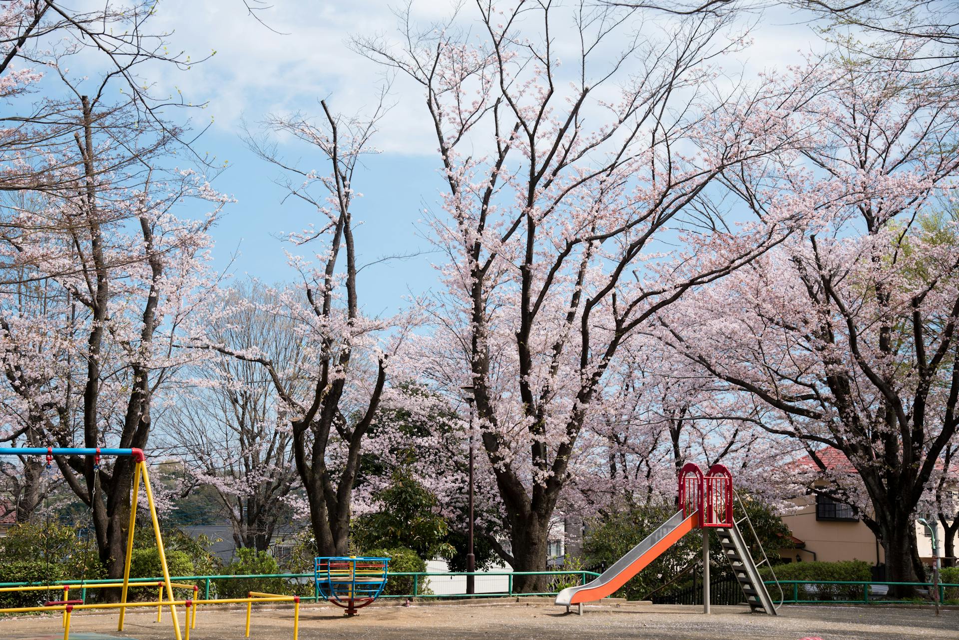 Playground surrounded by blooming trees