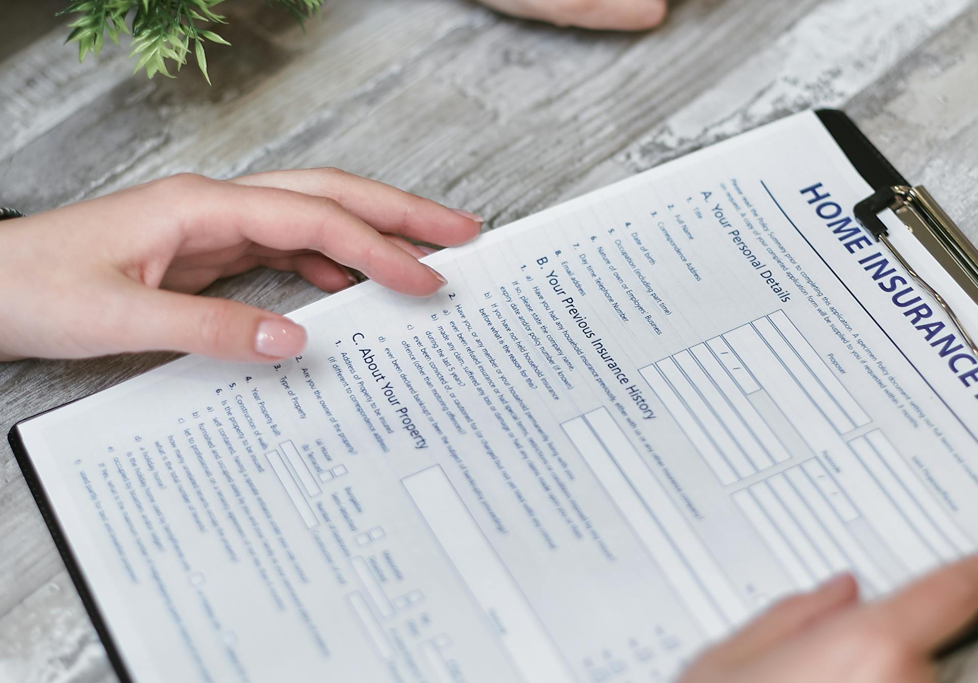 Person Holding Home Insurance Form