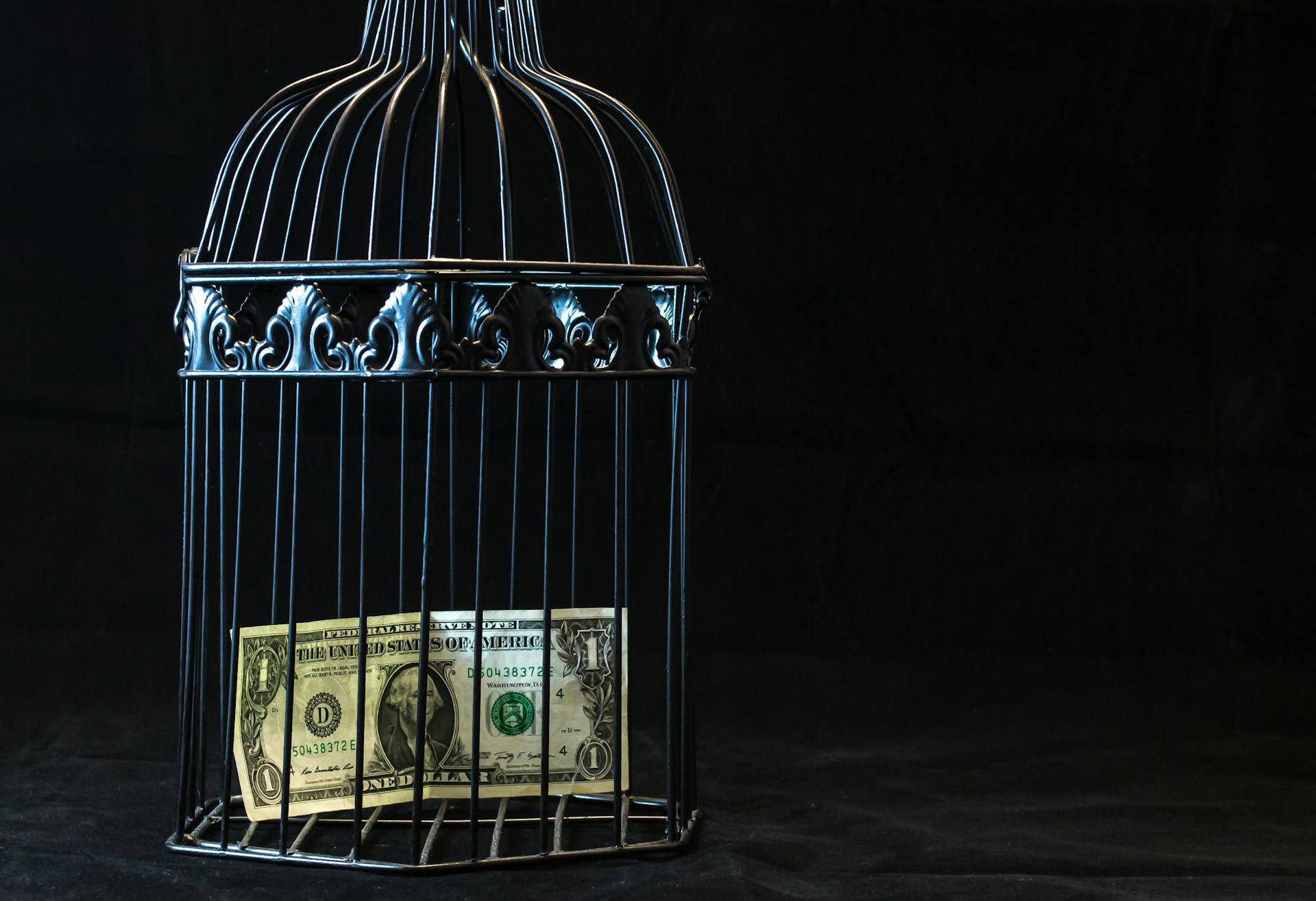 Black Steel Pet Cage With One Dollar