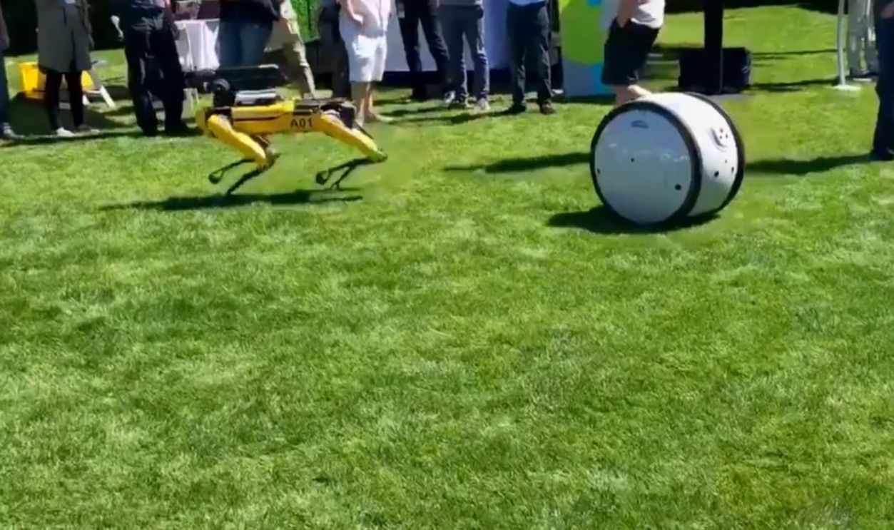 Jeff Bezos—Robot Dog