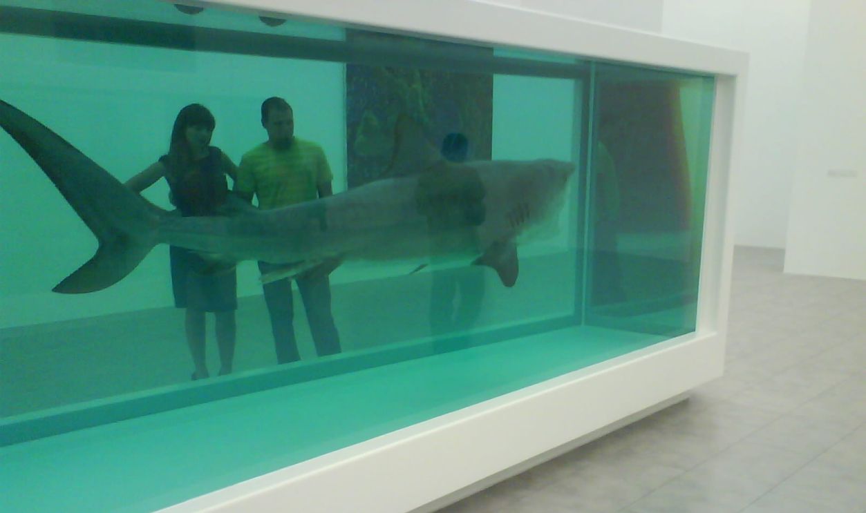 Steve Cohen—Preserved Shark For $12 Million