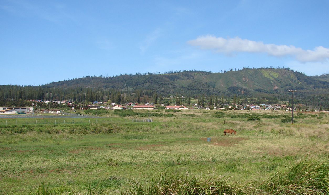 Larry Ellison—Hawaiian Island For $300 Million