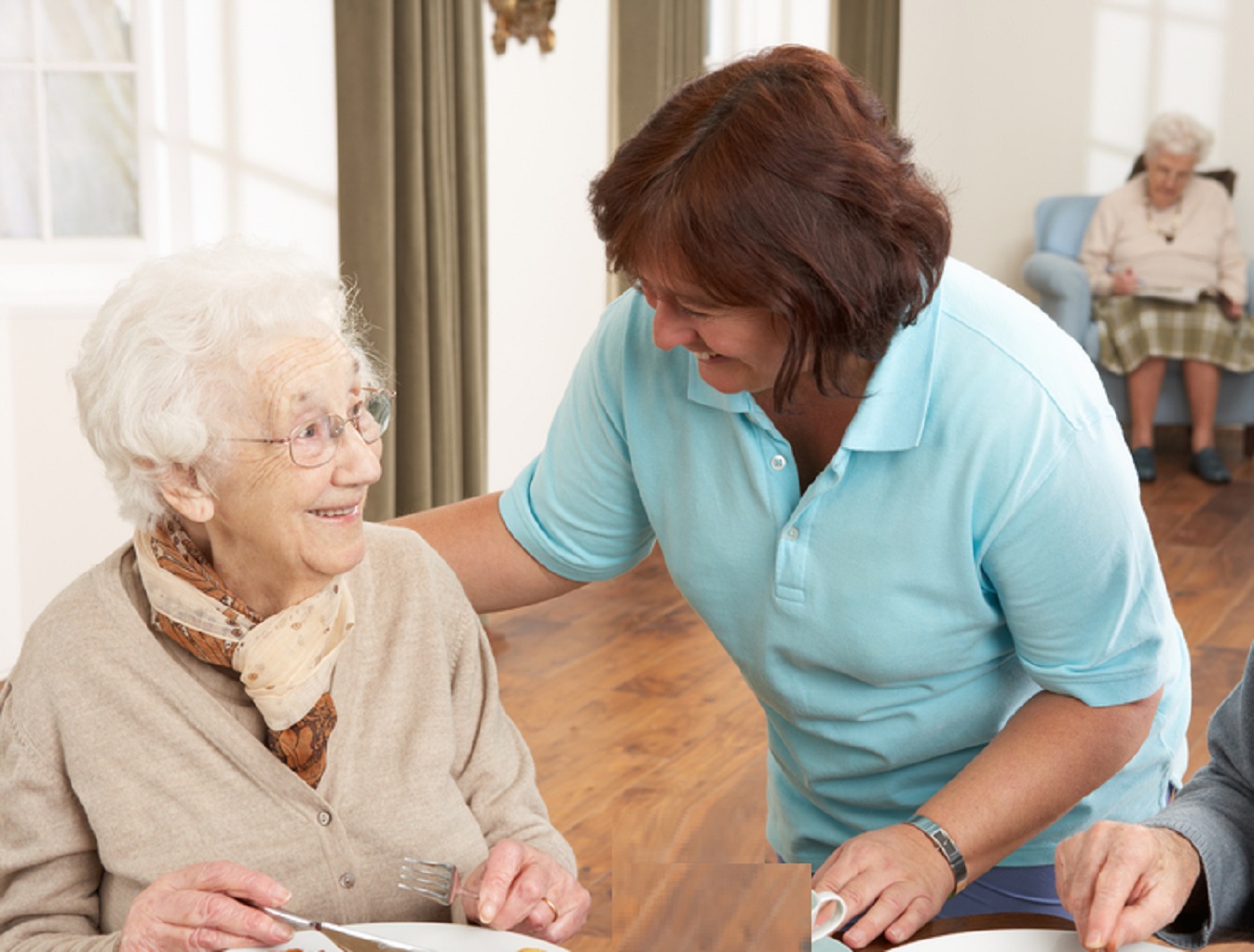 Senior Couple Being Served Meal.