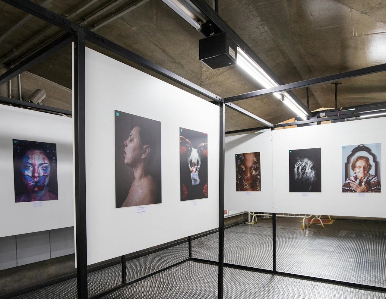 Photography Exhibition in Art Gallery