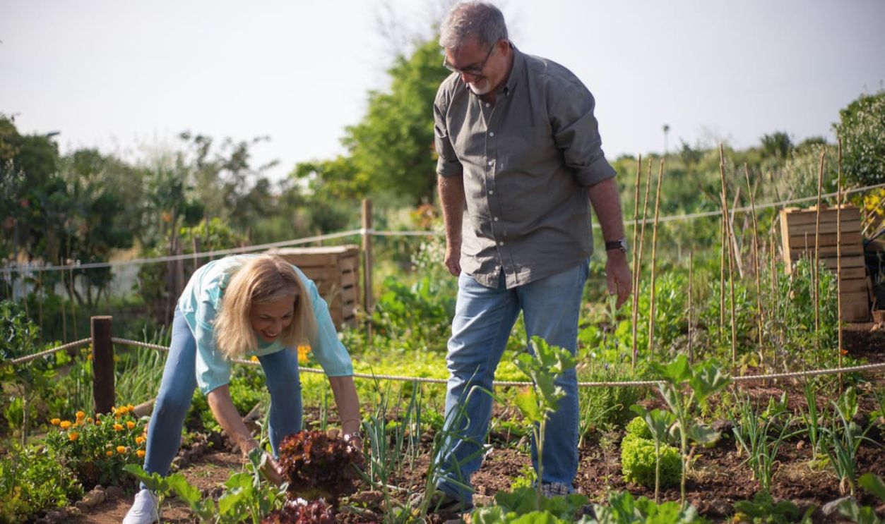 Community Gardens