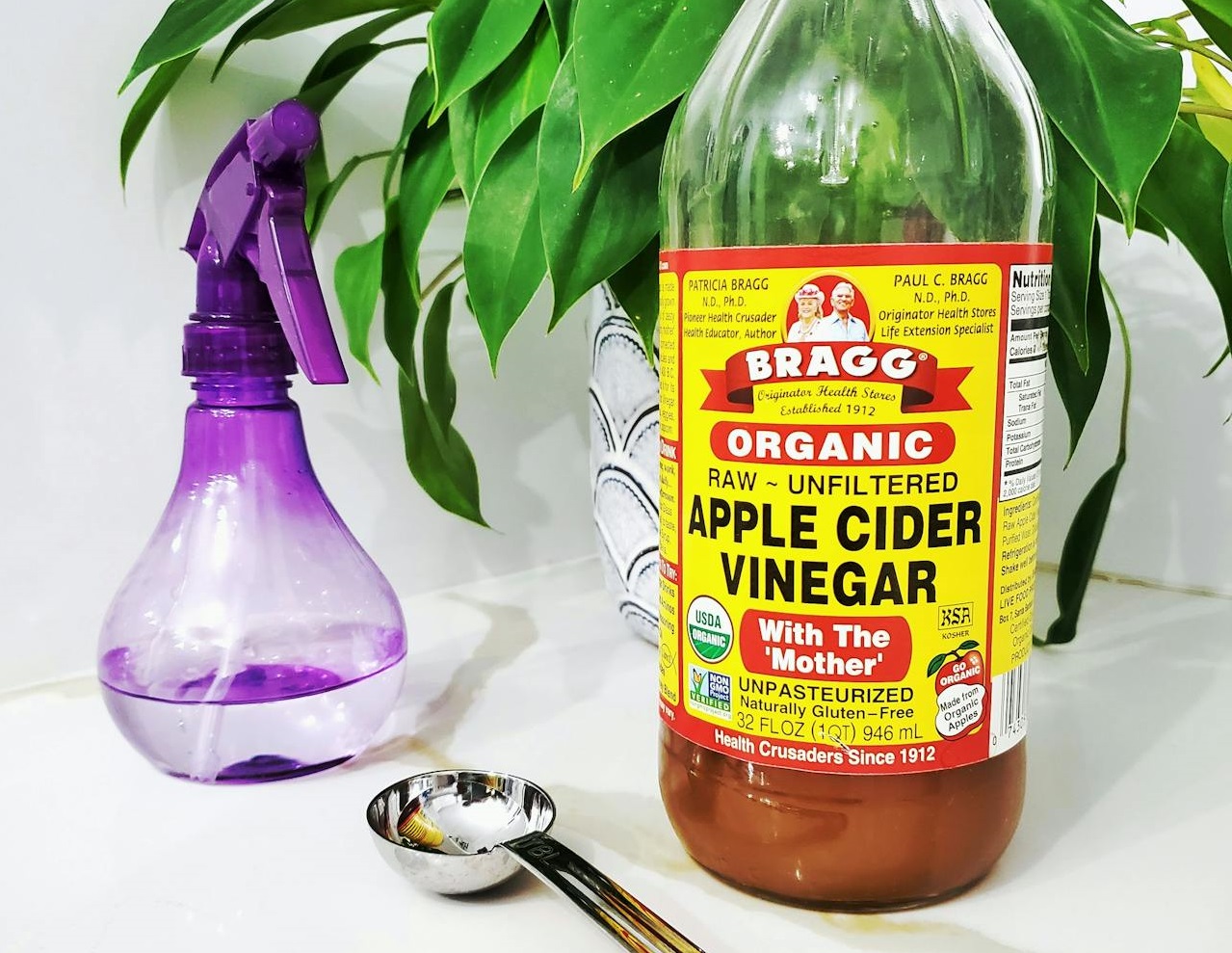 Spray bottle beside vinegar bottle.