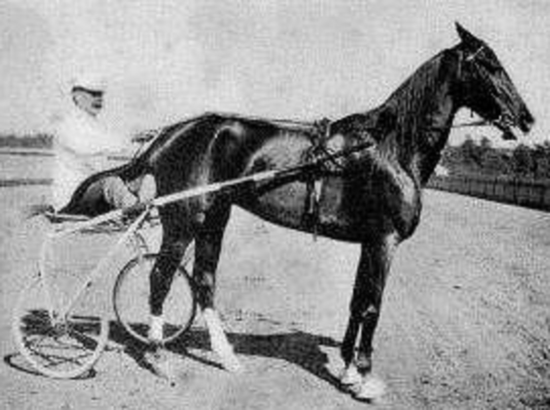 C.K.G. Billings with his horse Lou Dillon after winning the Webster Cup in 1903