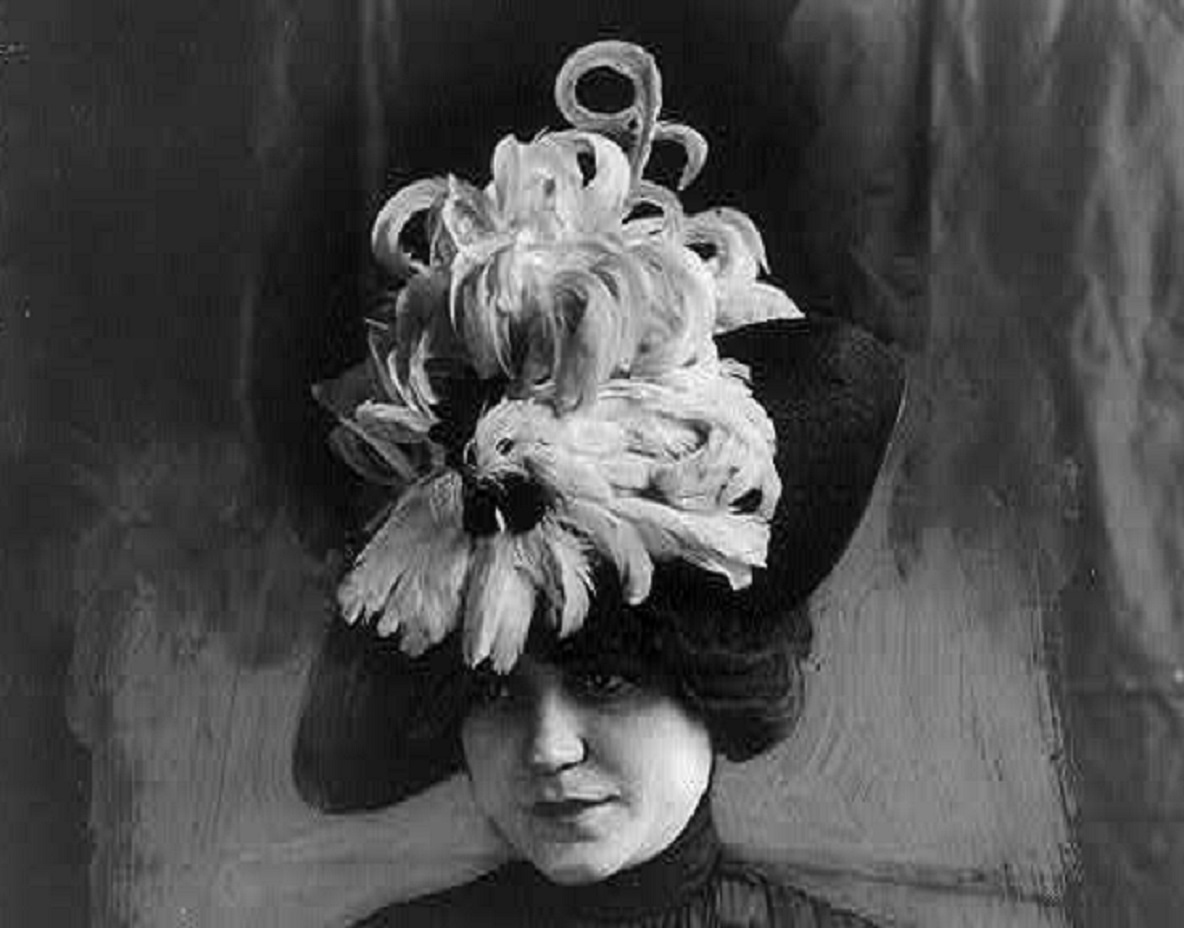 Model Wearing Chanticleer Hat Of Bird Feathers.