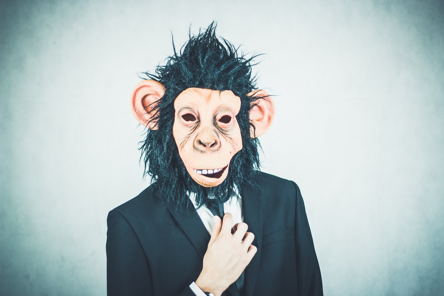 monkey wearing a black suit