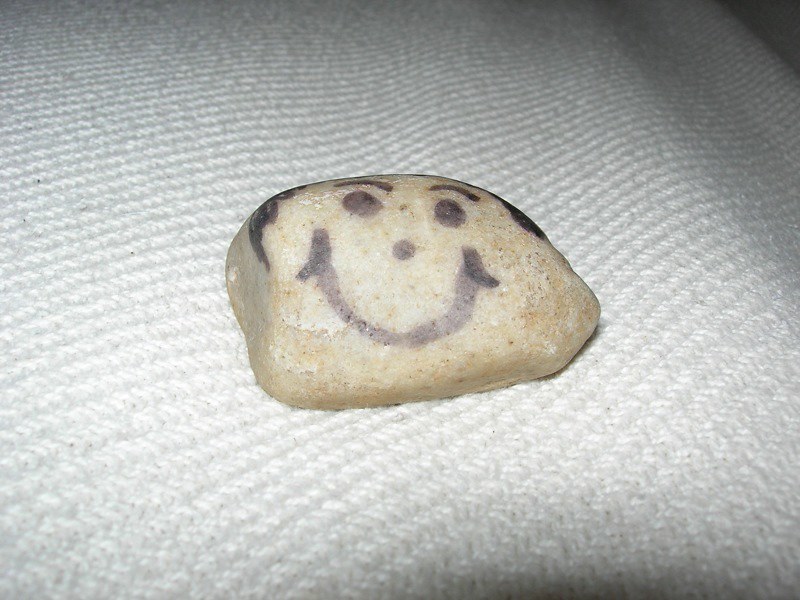 Pet Rock