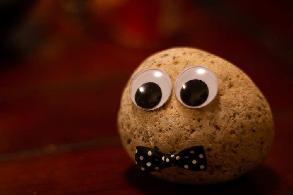 Pet rock