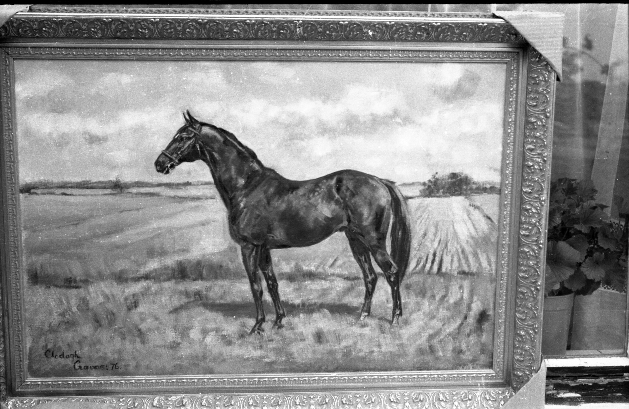 Equestrian Paintings