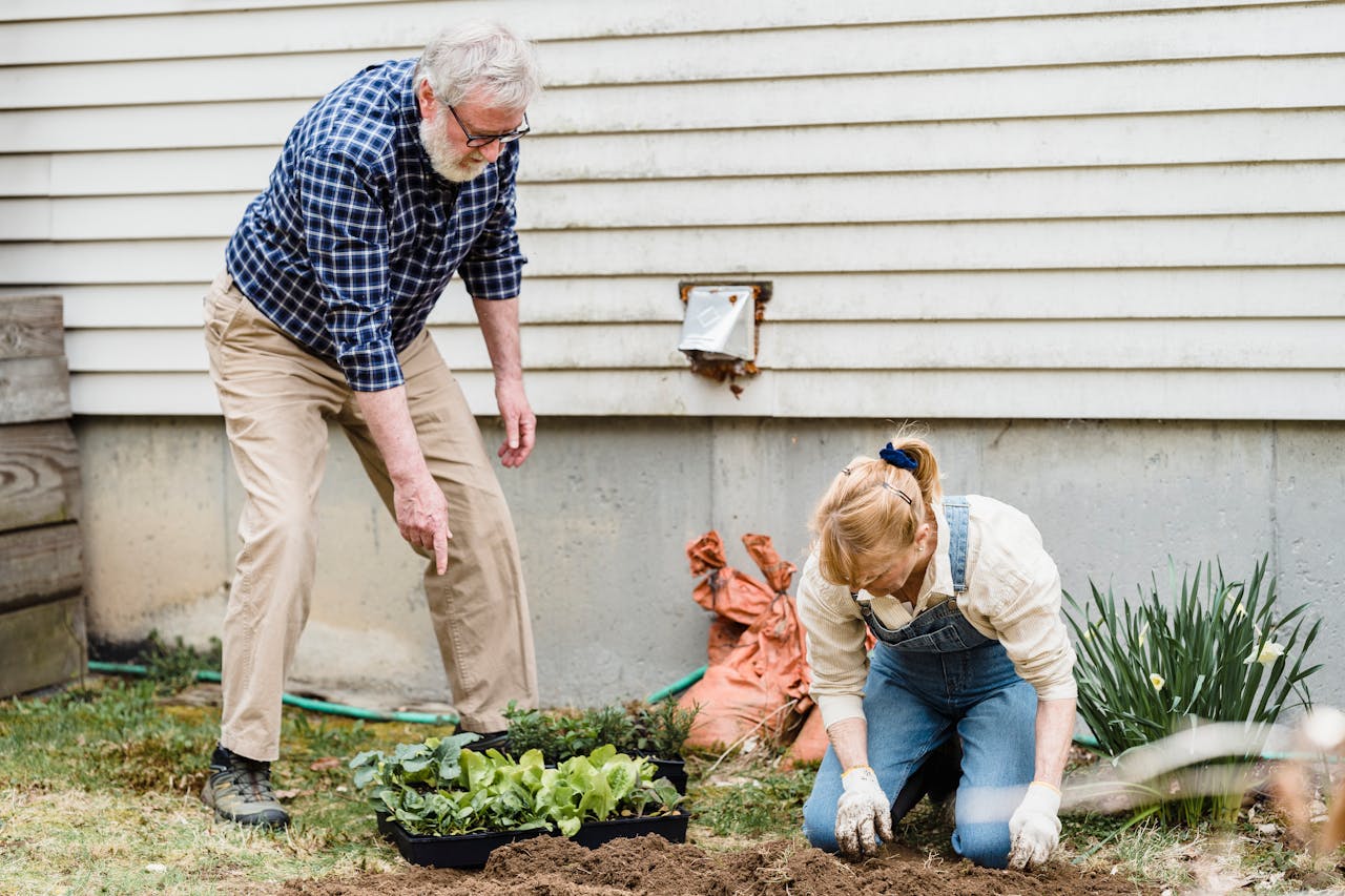 Senior man and woman planting plants in garden near a house