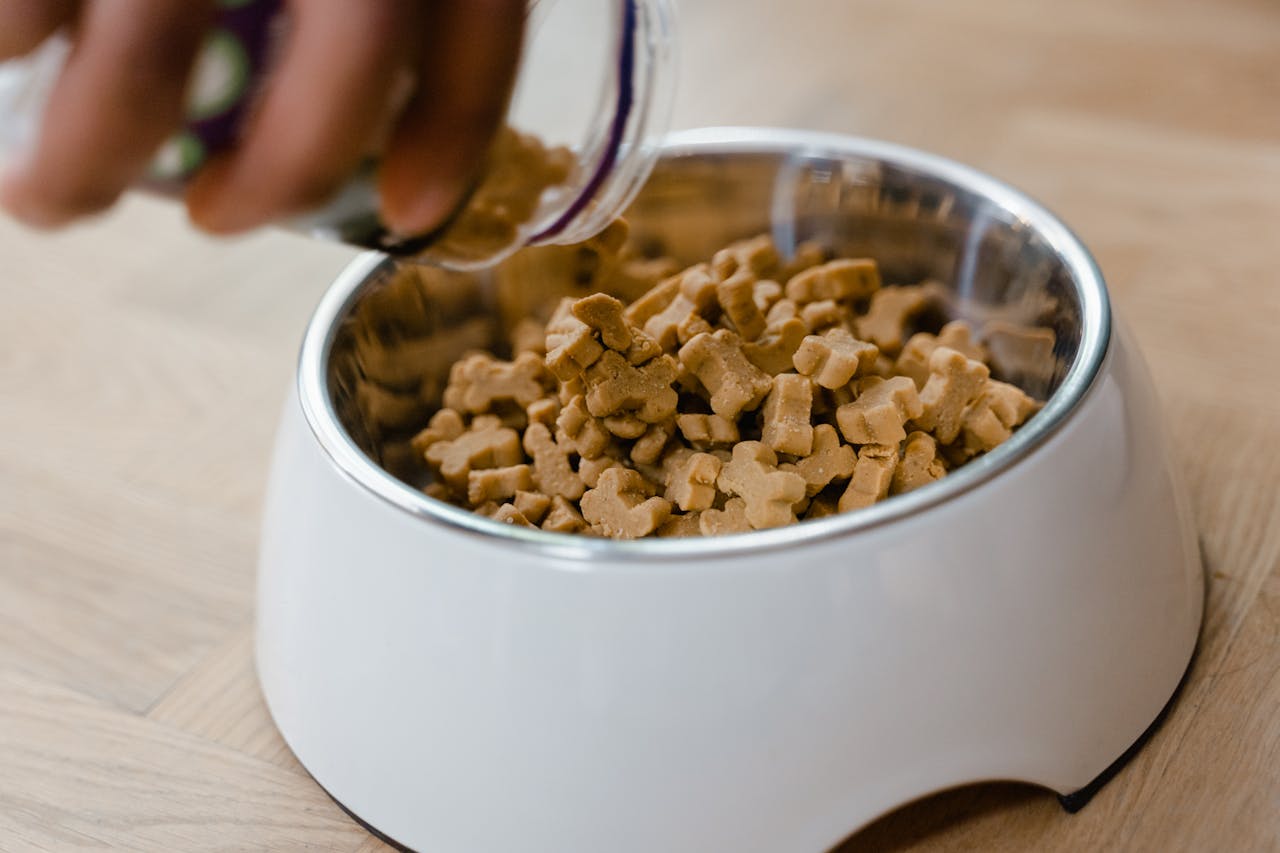 Hand putting dog treats on a white bowl