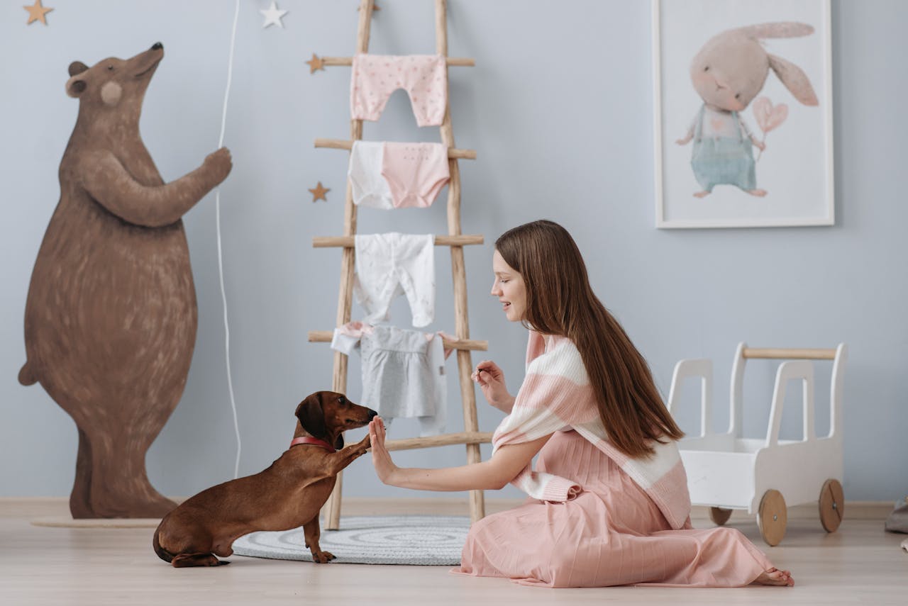A pregnant woman training her dog sitting on the floor
