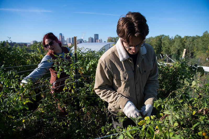image of a man working on a farm