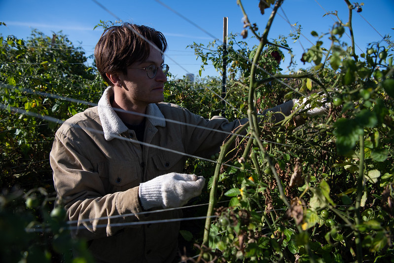 image of a man working on a farm