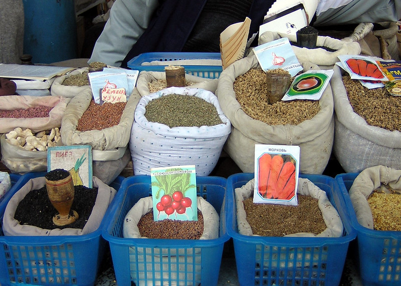 Close Up Photo of vegetable seeds for sale placed on a market rack