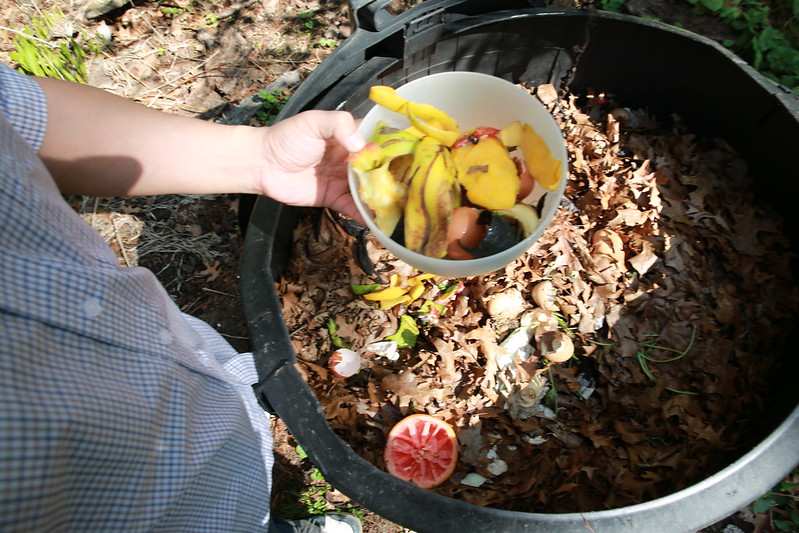 Close Up Photo of a Person disposing fruits and vegetables in a compost bin