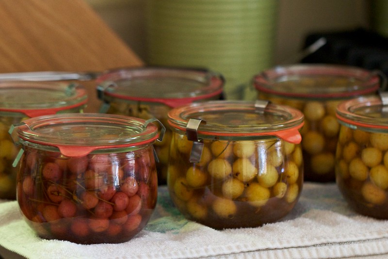 Close Up Photo of Jars with Cherries
