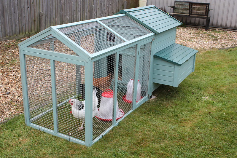 Close Up Photo of Chicken coop & run placed in a backyard