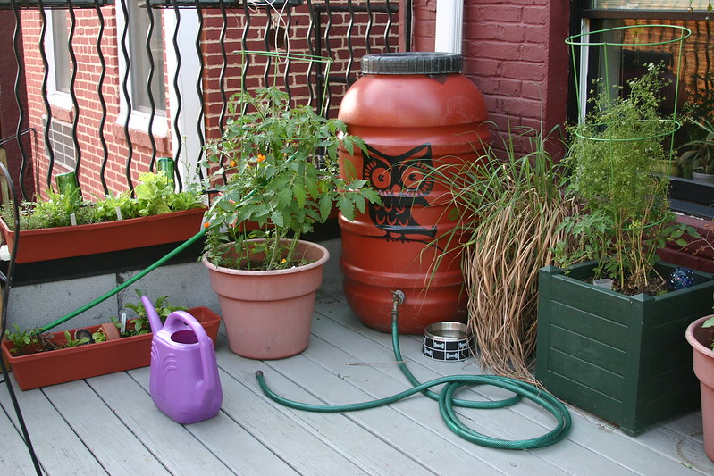 Photo of a Rain barrel, plant and other garden supplies placed on a veranda