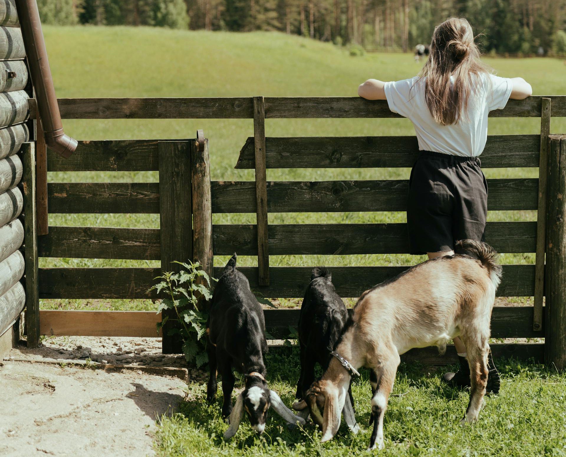 Woman Standing Beside Brown Wooden Fence