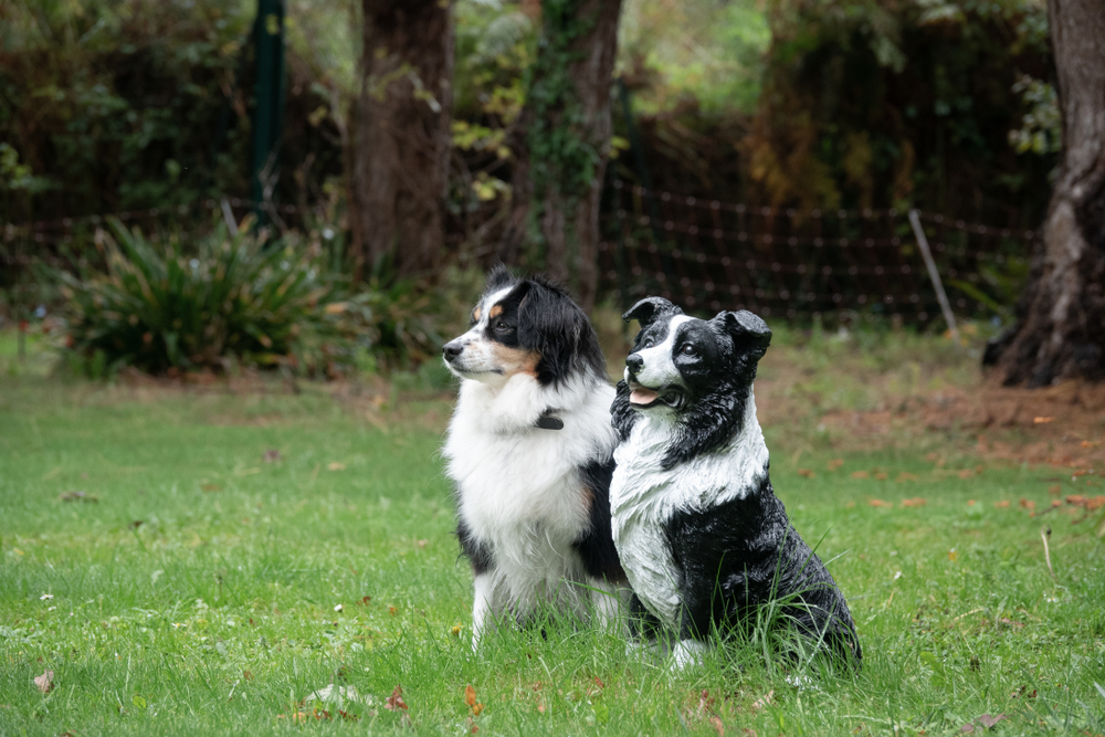 dog and her statue clone