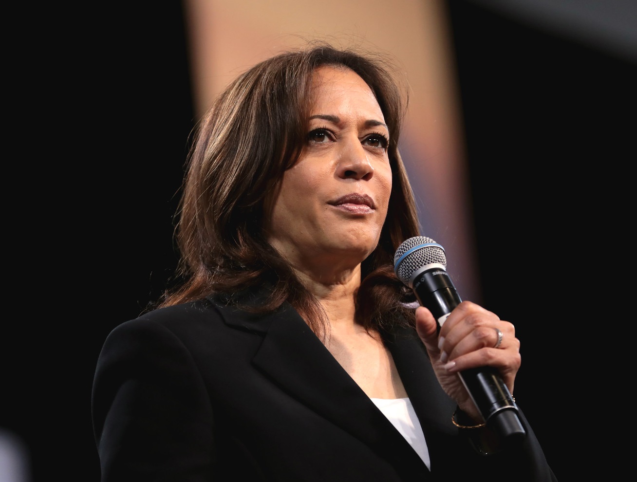Kamala Harris speaking with attendees at the 2019 National Forum