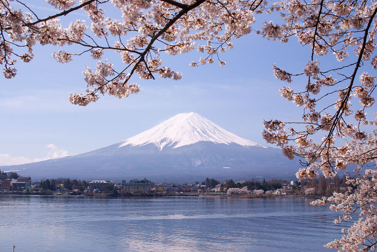Mount Fuji and Cherry Blossoms