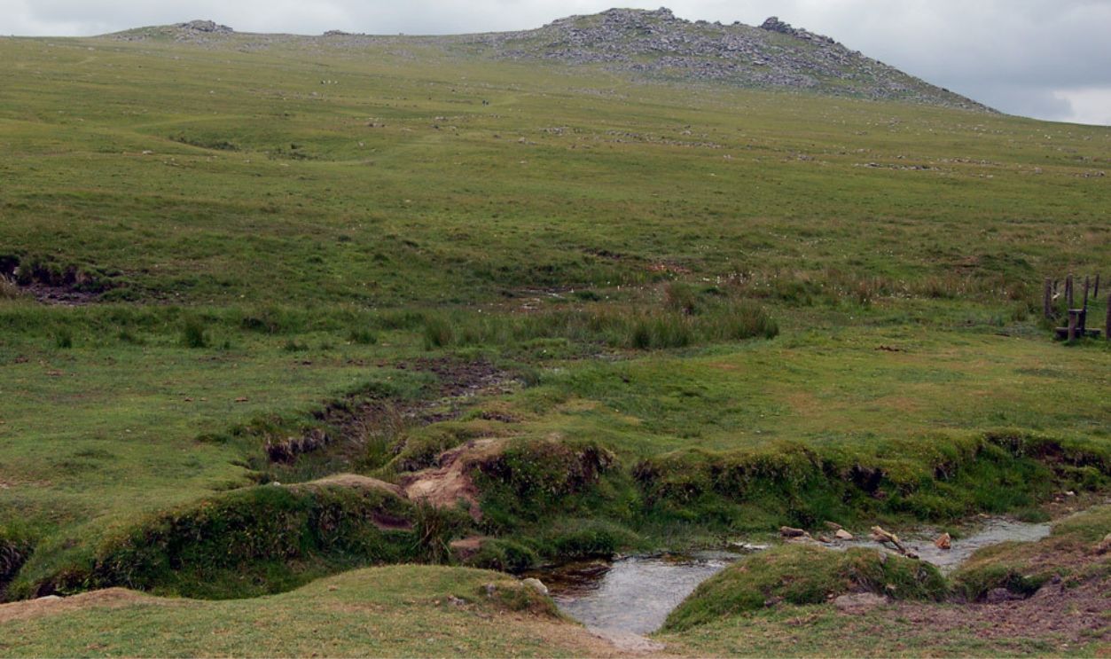 Bodmin Moor