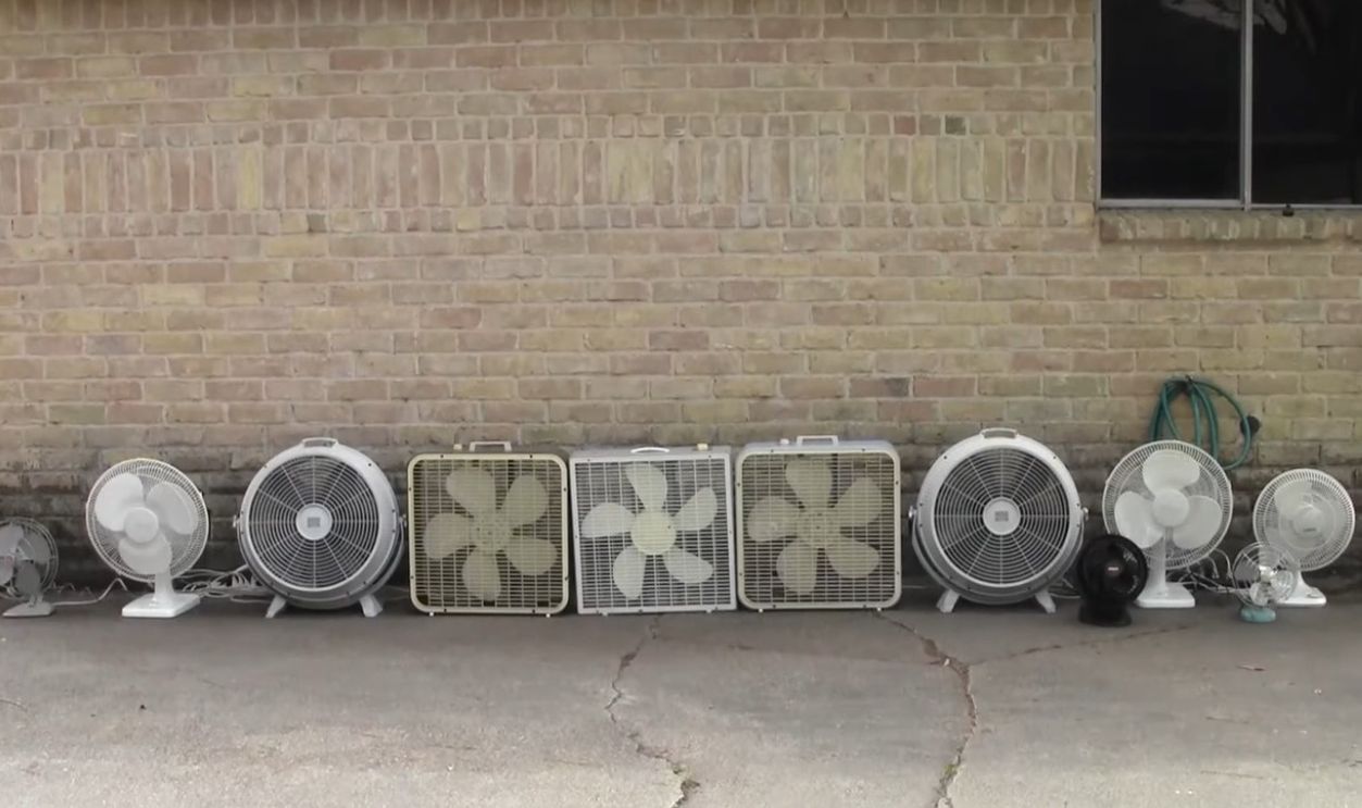 Electric Fans  
