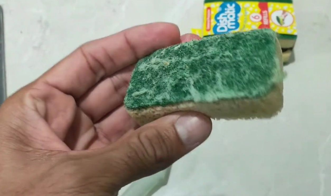 Sponges And Scrubbers