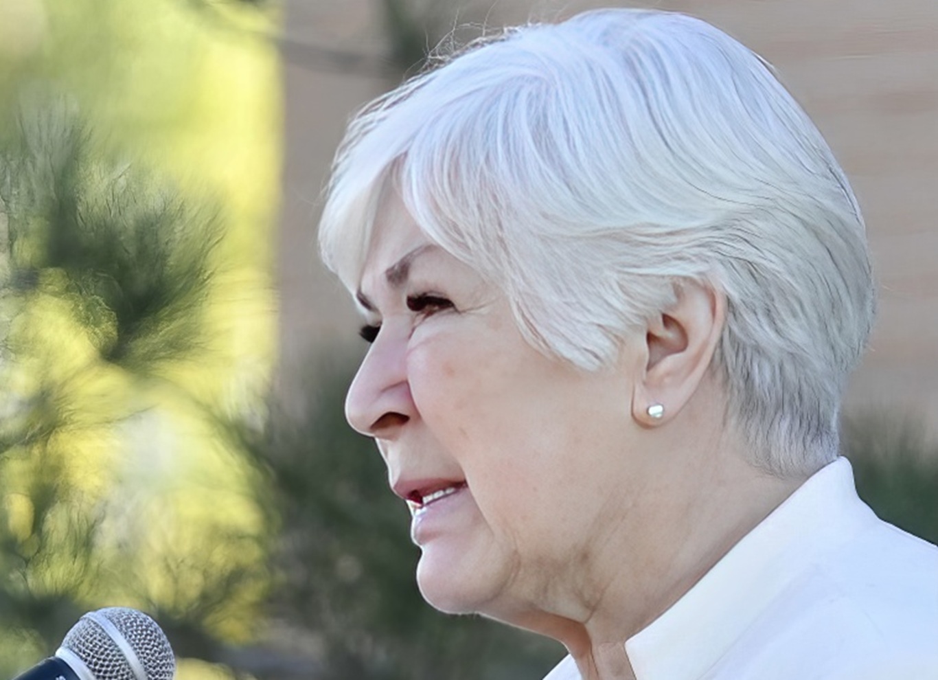 Gail Miller at a speaking engagement at Salt Community College in 2022.