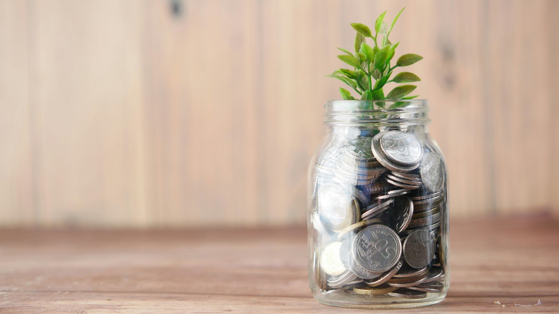 a glass jar filled with coins and a plant