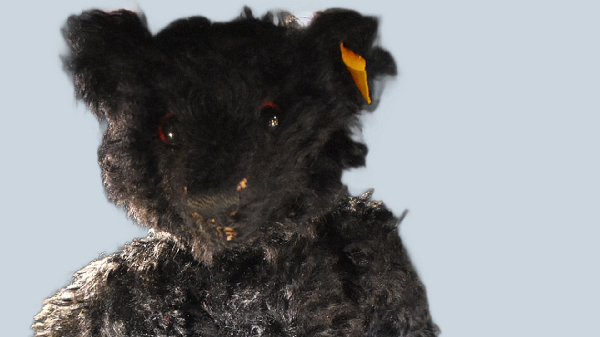 File:Steiff Trauerbär Titanic.jpg