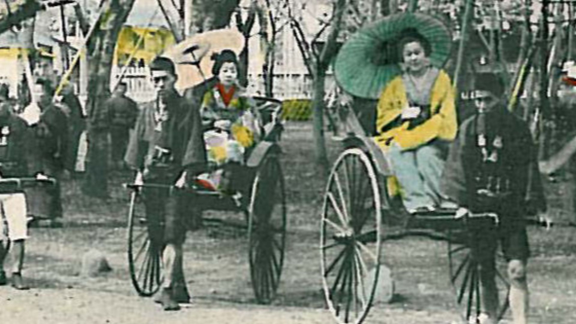 File:Cherry blossoms at Yokohama Park ca 1900.jpg