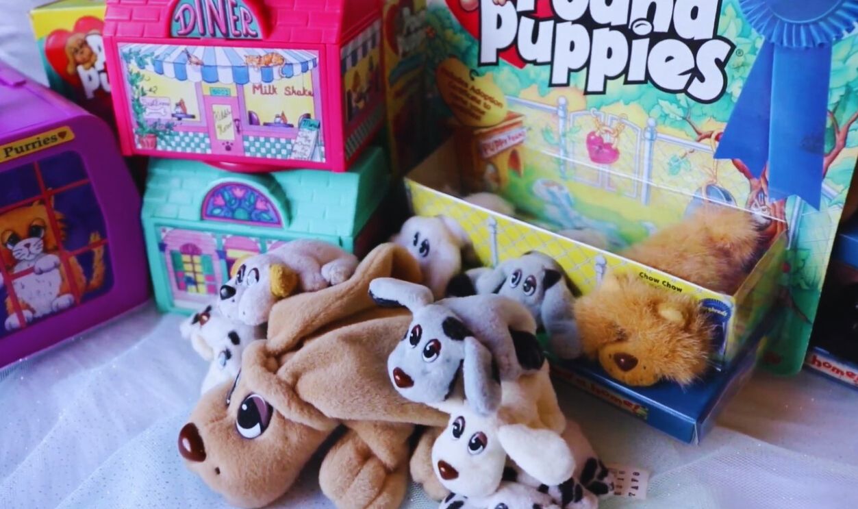Pound Puppies & M.U.S.C.L.E.