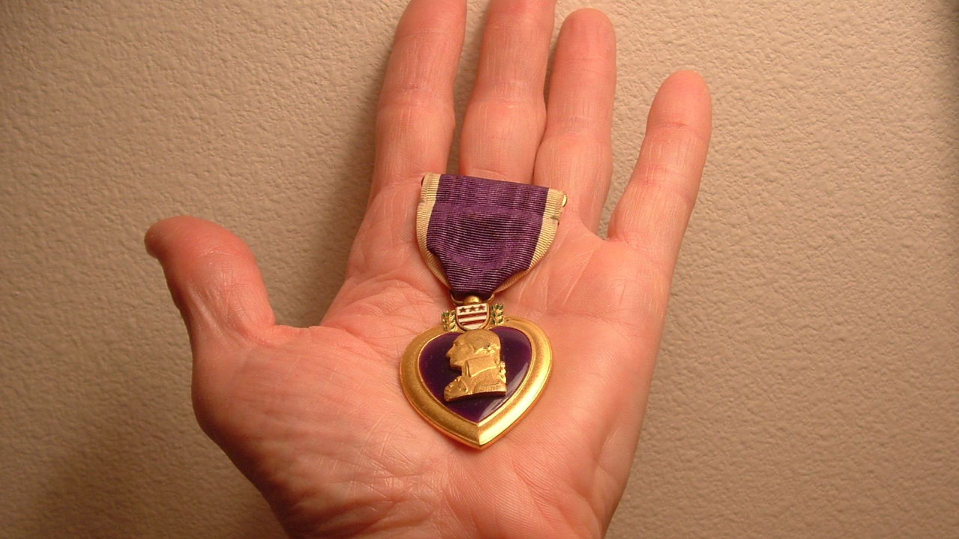File:Purple Heart (141172804).jpg