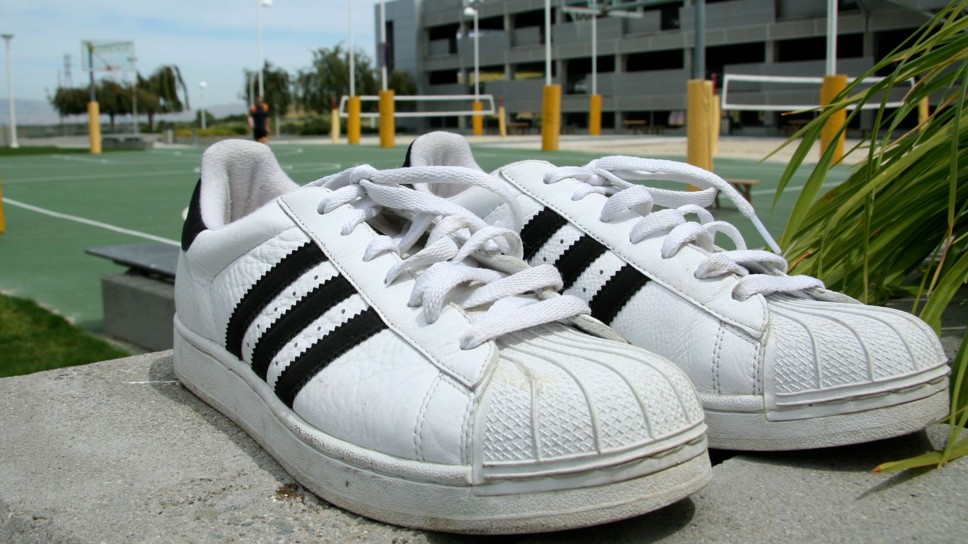 File:Adidas Superstar shoes pair.jpg