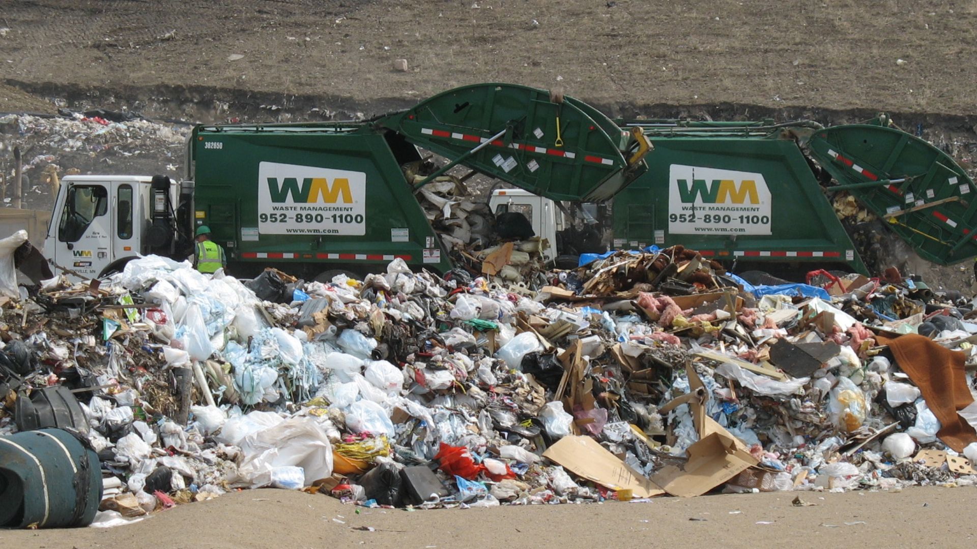 File:At the landfill.jpg