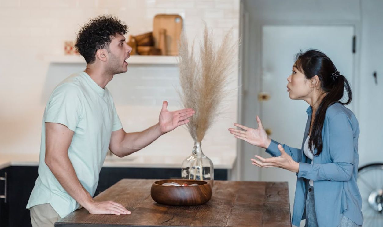 Emotional Roller-Coaster Of Sibling Disputes