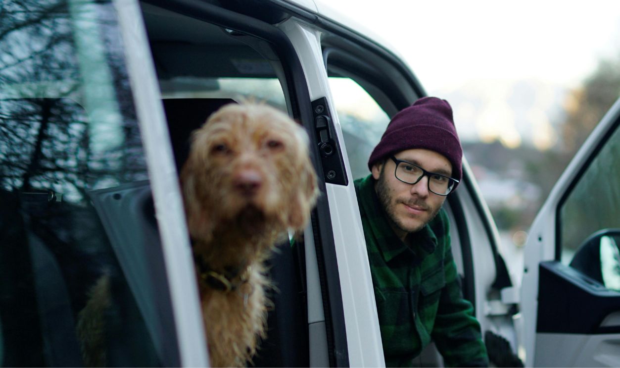 dog van