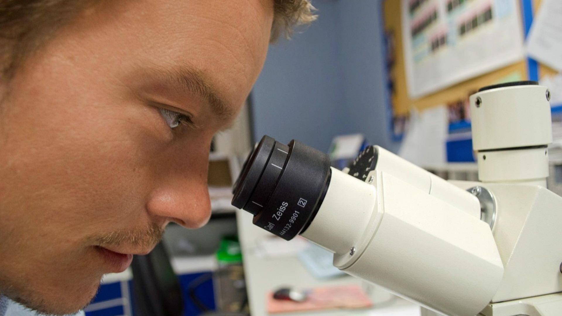 PublicDomainPictures