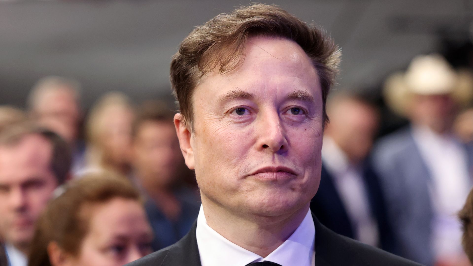File:Elon Musk - 54820081119.jpg