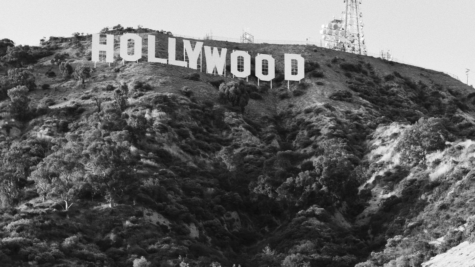 People gather near the iconic hollywood sign on a hill.