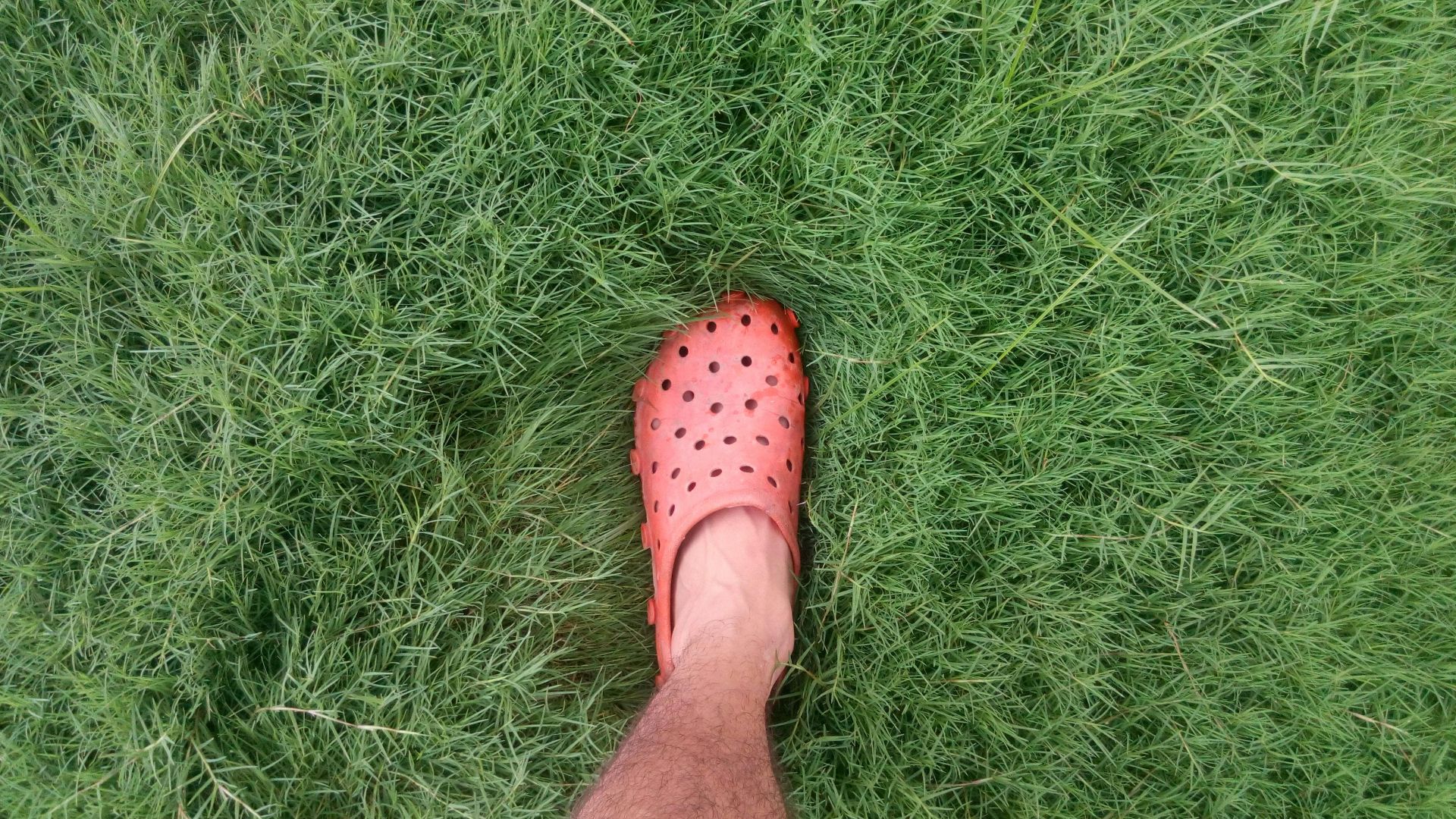 Ramandeep Singh Bali