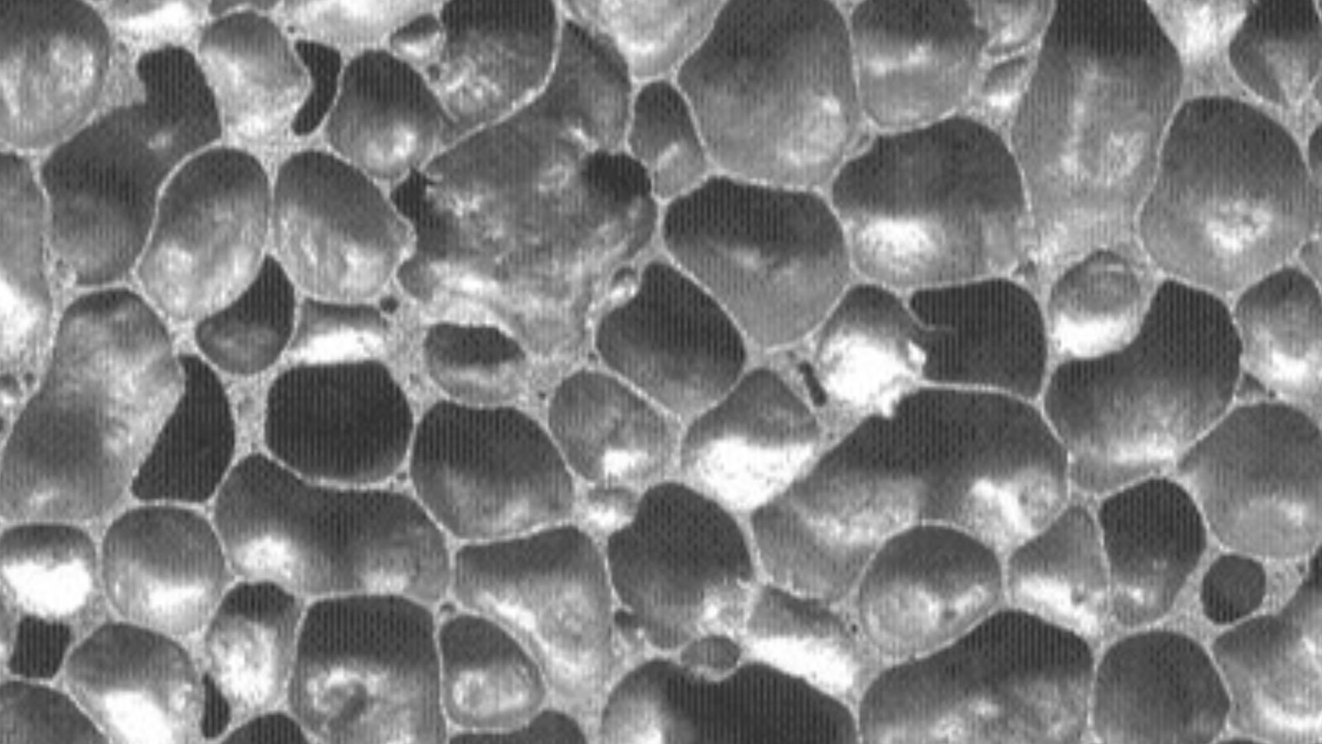 File:Closed cell metal foam with large cell size.JPG